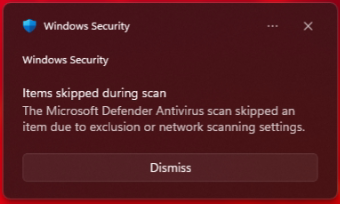 Items skipped during scan2.png